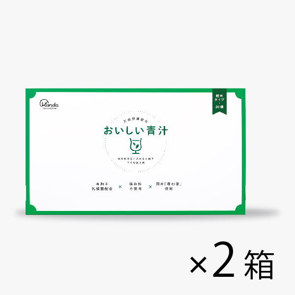 おいしい青汁 2箱セット おいしい青汁 2箱セット