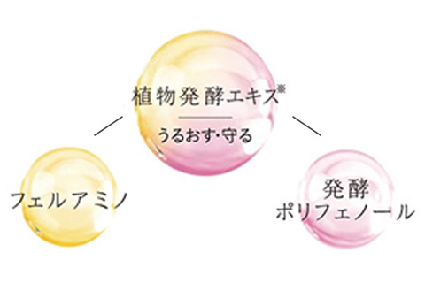 植物発酵エキスイメージ