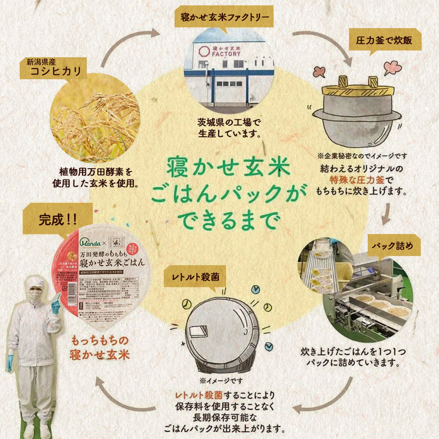 万田発酵のもちもち寝かせ玄米ごはん 12パック