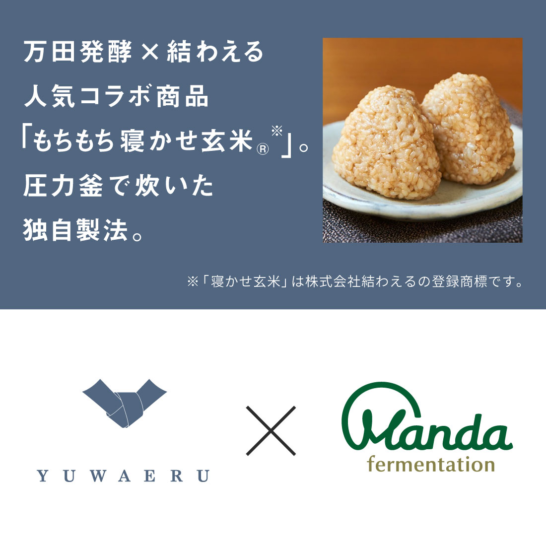 万田発酵×結わえる