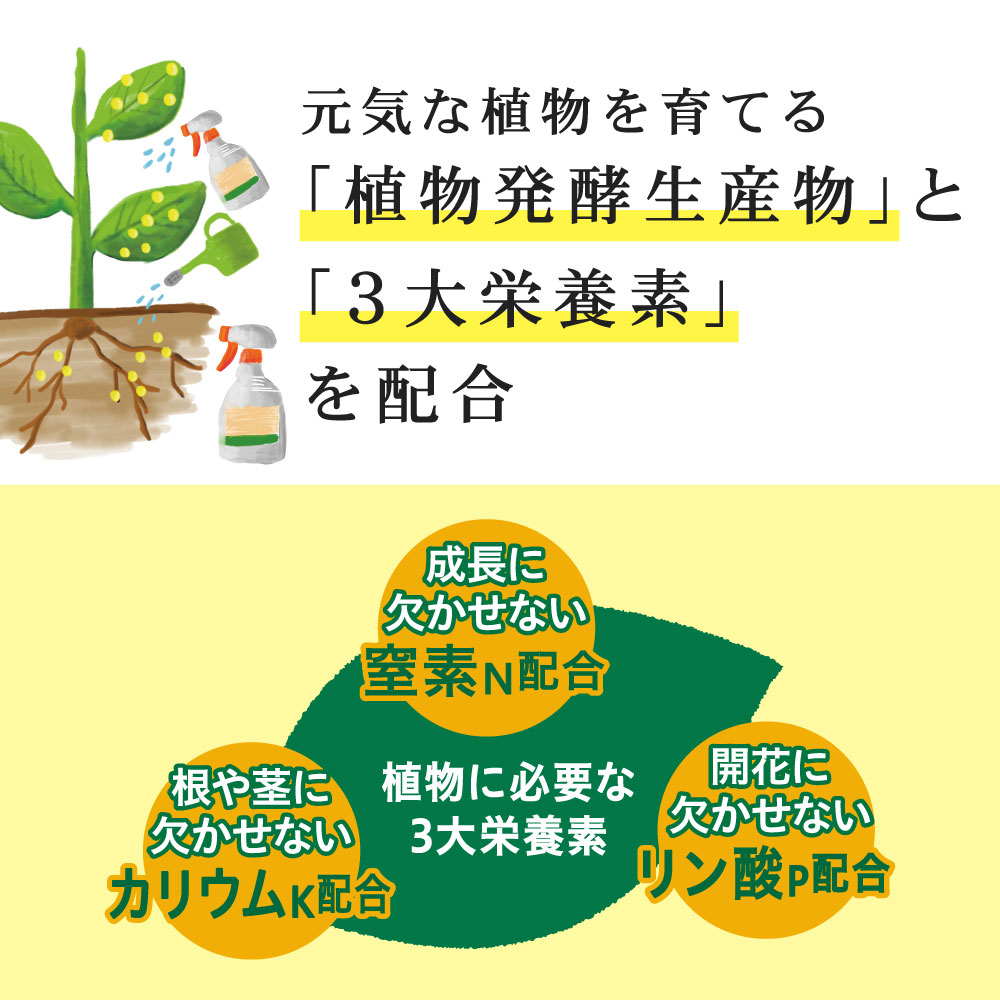 植物発酵生産物と3大栄養素を配合