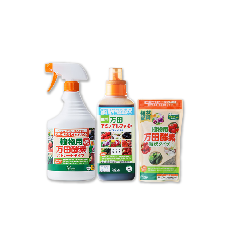 人気商品の中古品・新品・未使用品 公式】万田酵素 MANUKA HONEY Premium ペースト(分包)タイプ 果物
